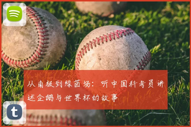 从南极到绿茵场:听中国科考员讲述企鹅与世界杯的故事
