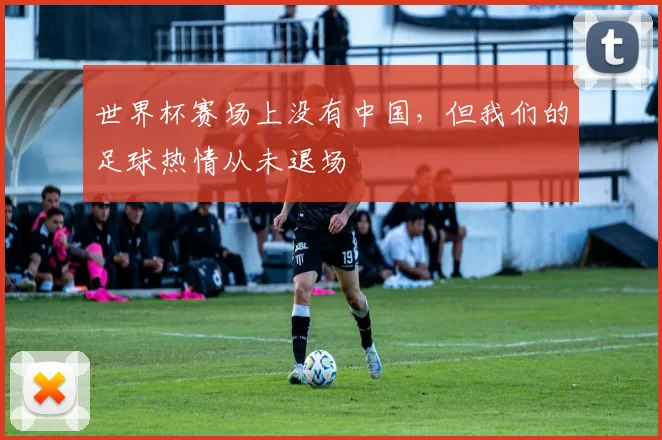 世界杯赛场上没有中国,但我们的足球热情从未退场