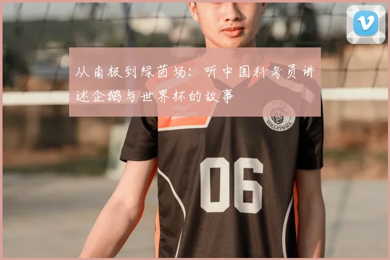 从南极到绿茵场:听中国科考员讲述企鹅与世界杯的故事
