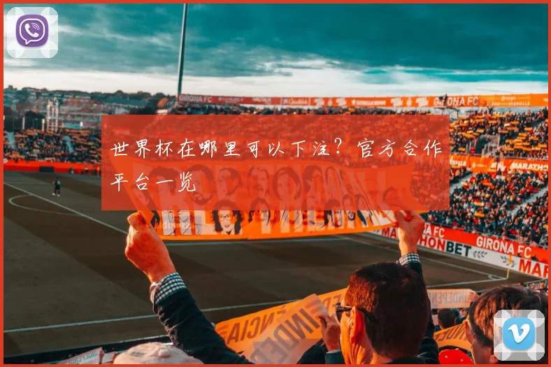 世界杯在哪里可以下注?官方合作平台一览