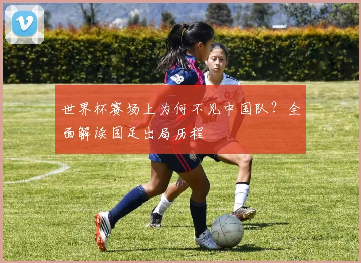 世界杯赛场上为何不见中国队?全面解读国足出局历程