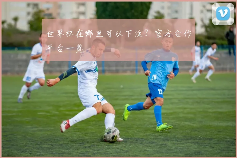 世界杯在哪里可以下注？官方合作平台一览