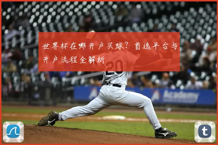 世界杯在哪开户买球?首选平台与开户流程全解析