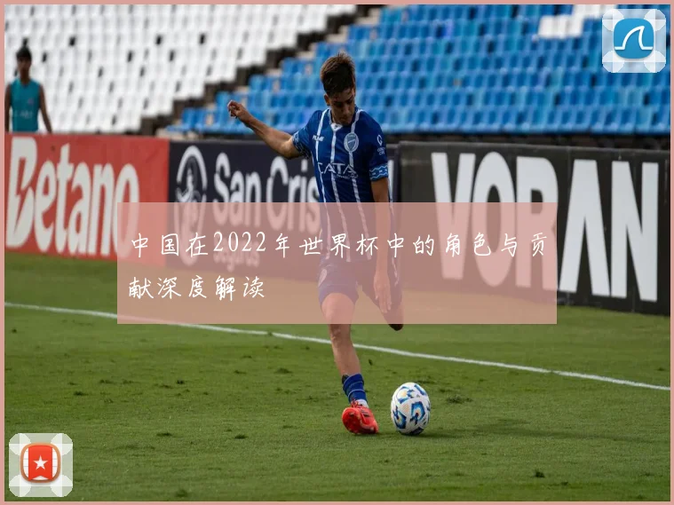 中国在2022年世界杯中的角色与贡献深度解读