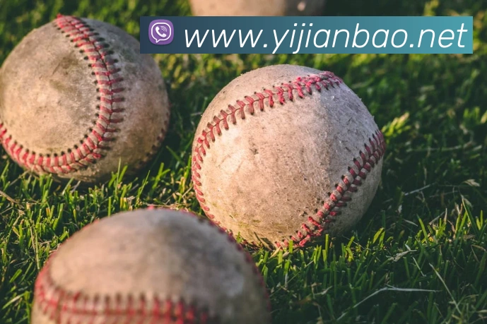 mksports最新官网平台生态图